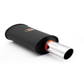 Sports silencer RM110 with polished tip KSCP76/76 2X50