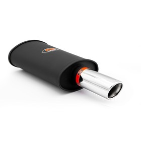 Sports silencer RM113 with polished tip KSZP76/76DK 2X50