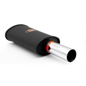 Sports silencer RM118 with polished tip KPCP76/76 2X50