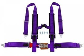 Racing harness 4-point 2" purple – DTM