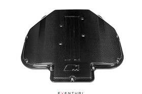 Intake manifold cover BMW E39 M5 / Z8 S62 V8 Carbon Eventuri