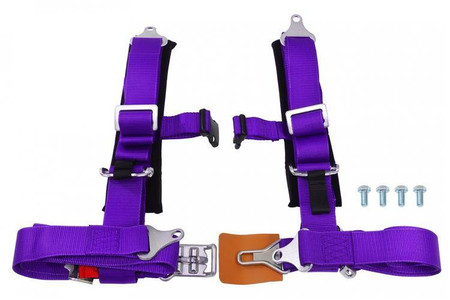 Racing harness 4-point 2" purple – DTM