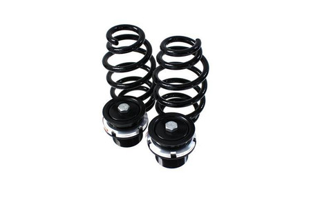 Sport Suspension AUDI A3 HATCH 5D 8P 4WD ?55 04-12 D2 Racing
