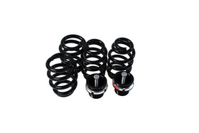 Street Suspension AUDI A4 B6 4WD 02-04 D2 Racing