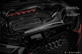 Intake system Audi RSQ3 F3 2019+ Carbon Eventuri  