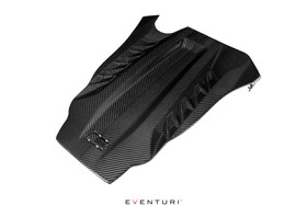 Intake system BMW F9X X5M / X6M / G09 XM / X5 M60i Eventuri  