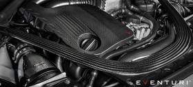 Intake system BMW F87 M2 Competition Black Carbon Eventuri  