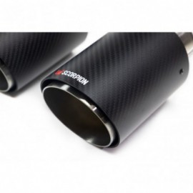 Carbon Ascari 100mm (2 pairs)