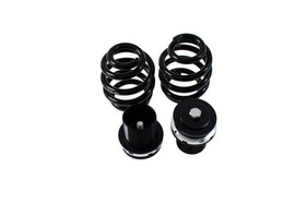 Street Suspension VOLKSWAGEN PASSAT B5 WAGON 98-05 D2 Racing