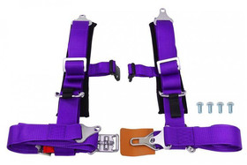 Racing harness 4-point 2" purple – DTM