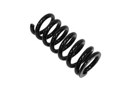 Street Suspension BMW 1 SERIES E81 4 CYL 07-12 D2 Racing