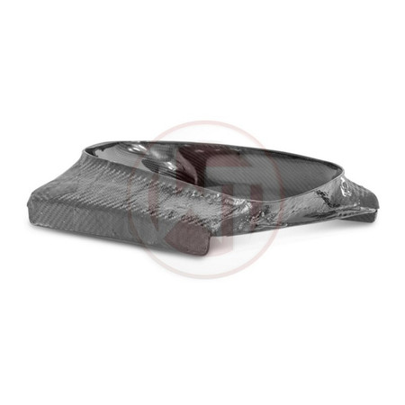 Water Cooler Mercedes E63 S AMG W213 S213 C213 A213 Wagner Tuning