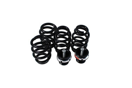 Street Suspension AUDI A4 B6 4WD 02-04 D2 Racing