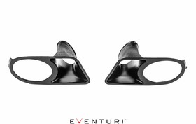 Intake system BMW E39 M5 S62 Black Carbon Eventuri