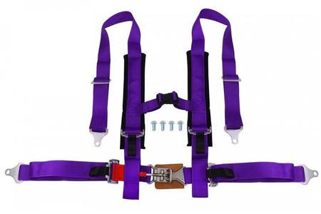 Racing harness 4-point 2" purple – DTM